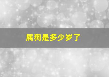 属狗是多少岁了