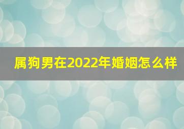 属狗男在2022年婚姻怎么样