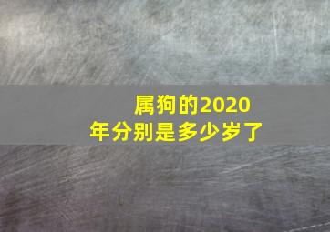 属狗的2020年分别是多少岁了