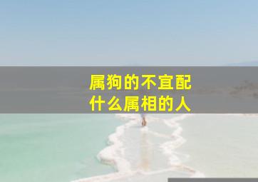 属狗的不宜配什么属相的人