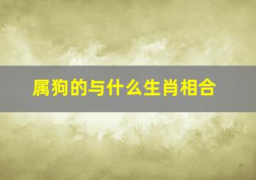 属狗的与什么生肖相合