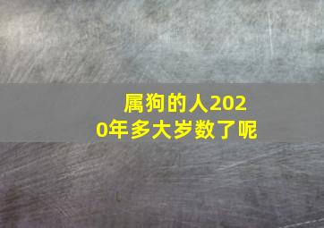 属狗的人2020年多大岁数了呢