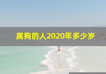 属狗的人2020年多少岁