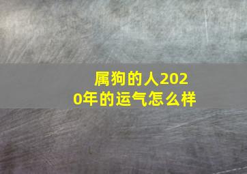 属狗的人2020年的运气怎么样