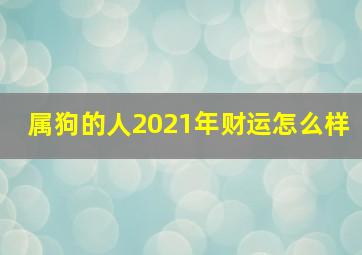 属狗的人2021年财运怎么样