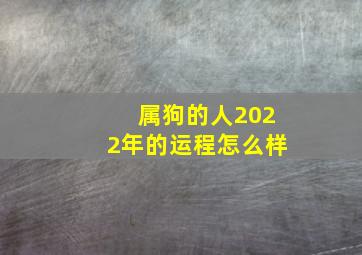 属狗的人2022年的运程怎么样