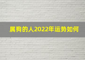 属狗的人2022年运势如何