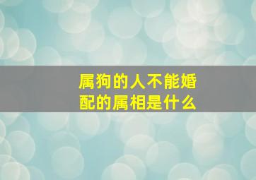 属狗的人不能婚配的属相是什么