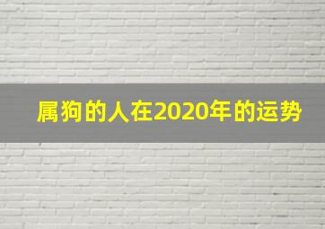 属狗的人在2020年的运势