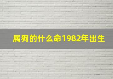 属狗的什么命1982年出生