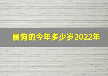 属狗的今年多少岁2022年