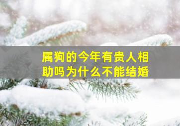 属狗的今年有贵人相助吗为什么不能结婚