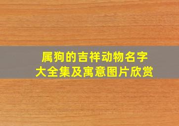 属狗的吉祥动物名字大全集及寓意图片欣赏