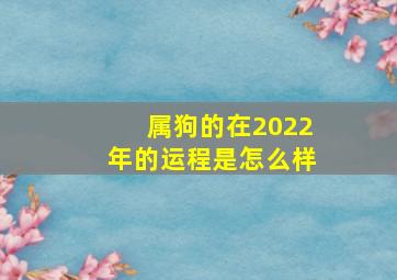 属狗的在2022年的运程是怎么样