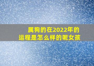 属狗的在2022年的运程是怎么样的呢女孩