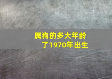 属狗的多大年龄了1970年出生