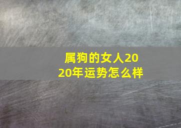 属狗的女人2020年运势怎么样