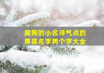 属狗的小名洋气点的男孩名字两个字大全