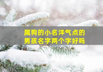 属狗的小名洋气点的男孩名字两个字好吗