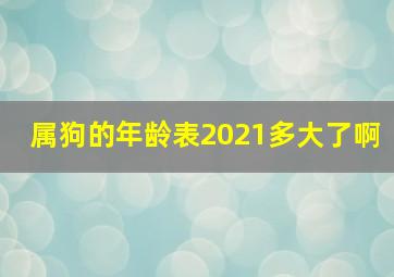 属狗的年龄表2021多大了啊