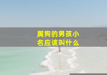 属狗的男孩小名应该叫什么