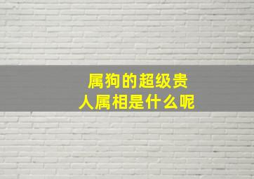 属狗的超级贵人属相是什么呢