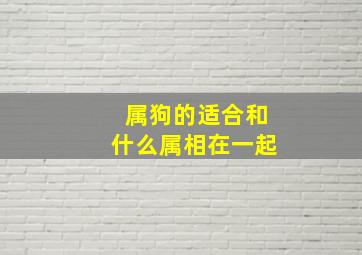 属狗的适合和什么属相在一起