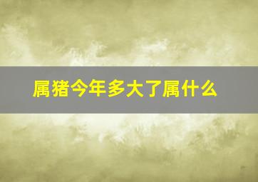 属猪今年多大了属什么