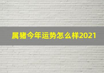 属猪今年运势怎么样2021