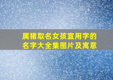 属猪取名女孩宜用字的名字大全集图片及寓意