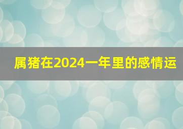 属猪在2024一年里的感情运