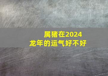 属猪在2024龙年的运气好不好