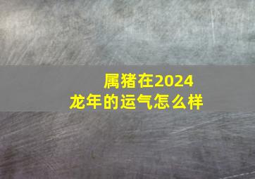 属猪在2024龙年的运气怎么样