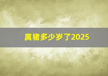 属猪多少岁了2025