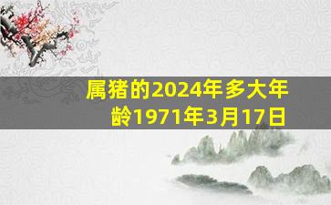 属猪的2024年多大年龄1971年3月17日