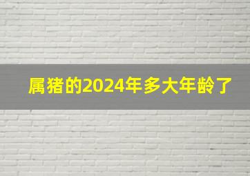 属猪的2024年多大年龄了