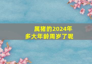 属猪的2024年多大年龄周岁了呢