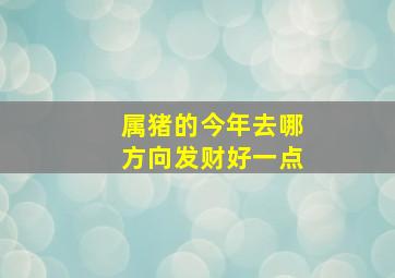 属猪的今年去哪方向发财好一点