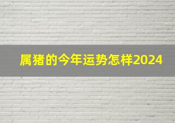 属猪的今年运势怎样2024