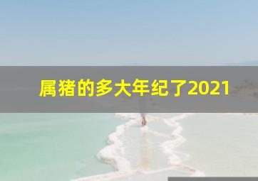 属猪的多大年纪了2021