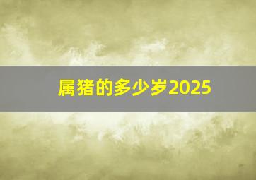 属猪的多少岁2025