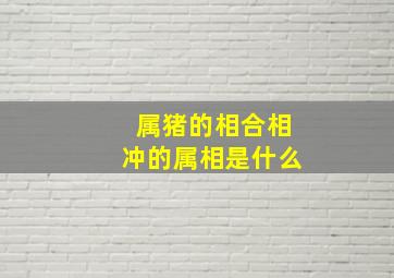 属猪的相合相冲的属相是什么