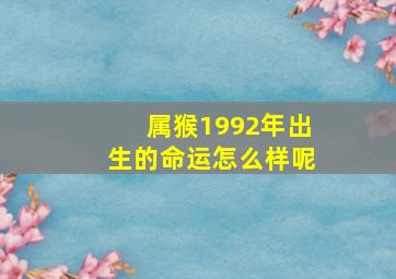 属猴1992年出生的命运怎么样呢