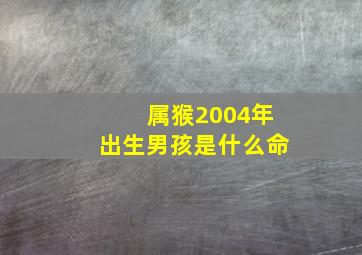 属猴2004年出生男孩是什么命