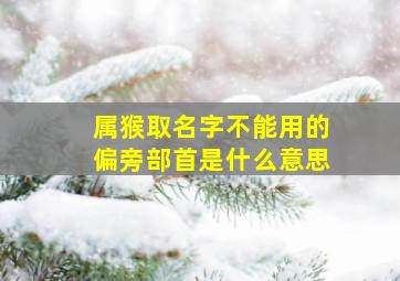 属猴取名字不能用的偏旁部首是什么意思