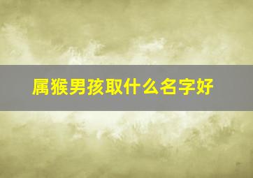 属猴男孩取什么名字好