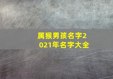 属猴男孩名字2021年名字大全