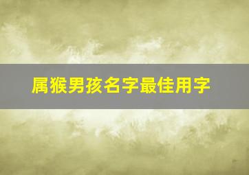 属猴男孩名字最佳用字