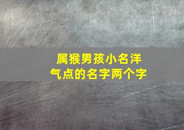 属猴男孩小名洋气点的名字两个字