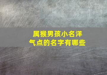 属猴男孩小名洋气点的名字有哪些